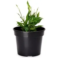 Garronda Blumentopf Kunststoff rund Pflanztopf Kräutertopf Anzuchttopf für Garten GD-0025 (1 St)