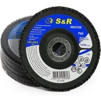 S&R Schleifscheibe Fächerschleifscheiben für Winkelschleifer Körnung 60, 125 x 22,2 mm, (Set, 5 St., 5-teilig), Lamellen- Schruppscheiben, zum Schleifen von Holz, Metall, Stahl