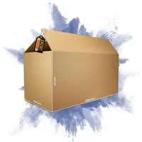 PROREGAL® Versandkarton 2-wellig mit Höhenriller LxBxH 1200x600x600mm Postversand (1 Stück), Robuster Faltkarton Postversand Paketversand belatsbar bis 30kg