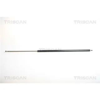 2 Triscan Gasfedern F?r Heckklappe Nissan Nv300 Primastar Opel Vivaro Renault Trafic