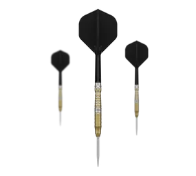 Target Japan Black Marque Enzo Swiss Point Steeldarts