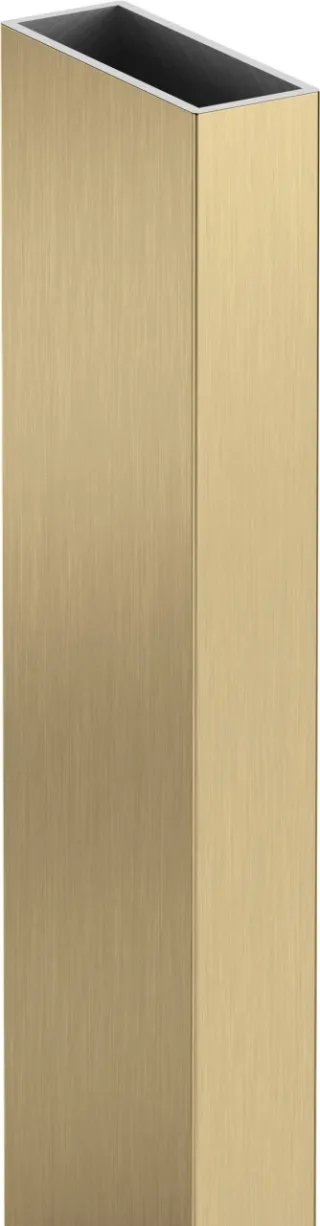 Neuesbad EXTENDING PROFILE für WALK-IN, Gold Gebürstet NB1DEKTJR11X1