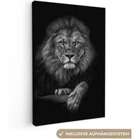 OneMillionCanvasses® Leinwandbild Löwe - Tiere - Schwarz - Weiß, Fotodruck (1 St), Leinwand Canvas Wandbild, Wanddekoration 20x30 cm