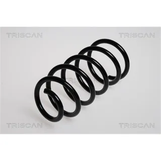 Triscan Feder hinten Fiat Punto 188 87501579