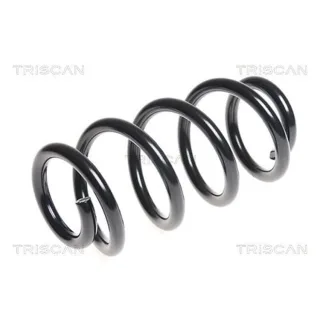 Triscan Feder vorne Audi A4 B7 2,7