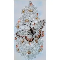 Stickereien Plauen Fensterbild Schmetterling