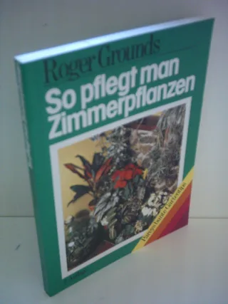 So pflegt man Zimmerpflanzen.