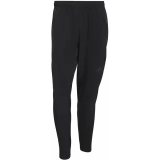 HERREN SPORTHOSE D4T HYBRID PANT (KA7242)