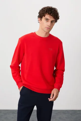 Herren Sweatshirt mit regulärem Schnitt und Rundhalsausschnitt