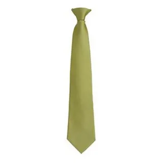 Premier Mens Fashion "Farben" Arbeit Clip auf Krawatte (Gras)