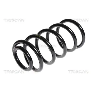 Triscan Feder hinten Hyundai Santa Fe 2 87504359