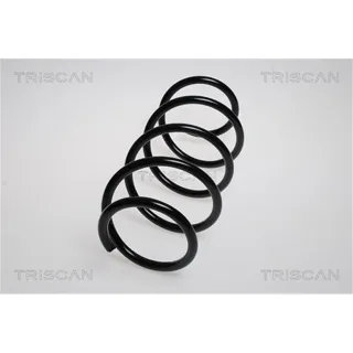 Triscan Feder vorne Renault Megane 2 87502561