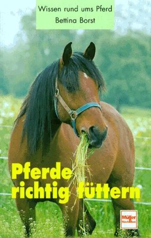 Pferde richtig füttern