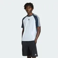 adidas Originals T-Shirt ADIDAS ADICOLOR TEAMGEIST BAUMWOLL-T-SHIRT (1-tlg)