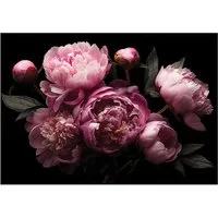 Wallarena Fototapete Blumen Pfingstrosen - Mehrfarbig - Elegant - Vlies - Schlafzimmer, glatt, (6 St), 300x210cm