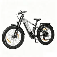 PIXAR E-Bike Elektrofahrrad Fatbike 250W 48V 20Ah Akku, Shimano 7-Gang, Hydraulisch, 7 Gang, Heckmotor, 960 Wh