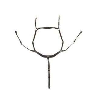 Hans Melzer Horse Equipment Hans Melzer Vorderzeug Balve braun/messing WB (Warmblut)