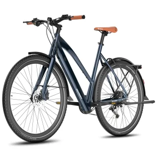 [EU Direct] FAFREES F700W Electric Bike 36V 10AH Battery 250W Motor Recommended Top Speed 25KM/H 700C Tires Torque Senso