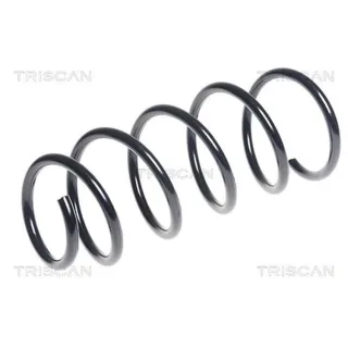 Triscan Feder vorne VW Polo 6N2 1,4