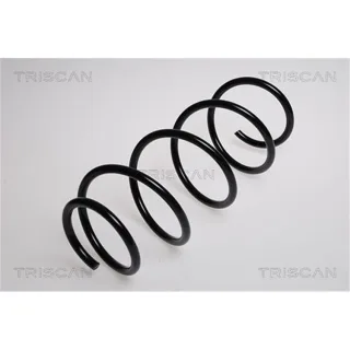 Triscan Feder vorne Fiat Punto 188 87501572