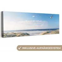 OneMillionCanvasses® Leinwandbild Panorama Düne - Möwe - Strand - Meer - Sonne, Fotodruck (1 St), Wandbild, Deko Schlafzimmer Wohnzimmer Flur 60x20 cm
