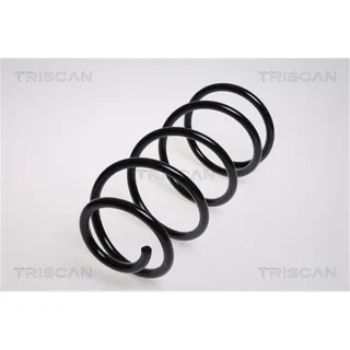 Triscan Feder vorne Ford Focus 2 875016043