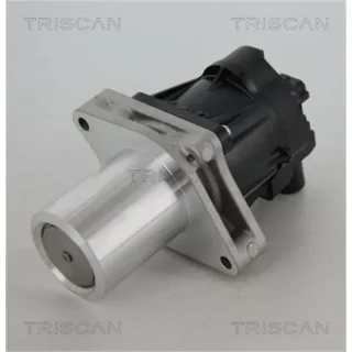 Triscan AGR-Ventil Chevrolet Opel 881324205 1,6