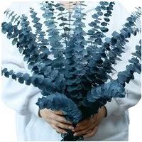 Kunstblumenstrauß Eukalyptus Getrocknet 43cm Natürliche Trockenblumen, Coonoor, Eukalyptus-Zweige für Hochzeit,Blumen Arrangements Heim Décor