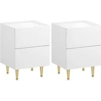 Woltu Nachttisch, mit 2 Schubladen, moderner Nachtkommode, Holz PVC+Metall