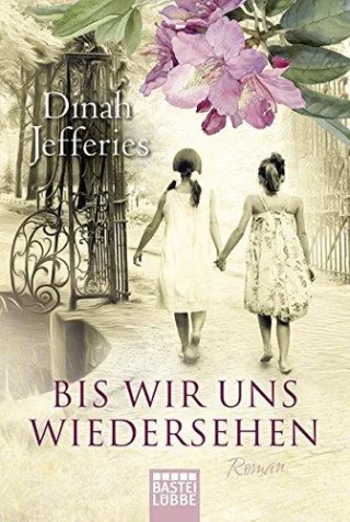 Bis wir uns wiedersehen: Roman (Allgemeine Reihe. Bastei Lübbe Taschenbücher)