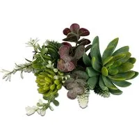 Kunstblume Frühlingszeit, formano, Höhe 16 cm, Höhe: 16cm, Farbe: Grün, Motiv: Sukkulente