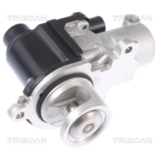 Triscan AGR-Ventil Audi A8 Q7 Porsche Cayenne VW Touareg 4,2