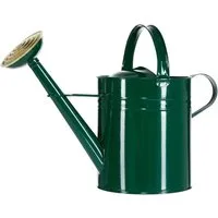 Dehner Blumentopf Gießkanne, 9 l, 48 x 37 x 21 cm, Zink, grün, für effektives Gießen und Wasserwärmen im Garten