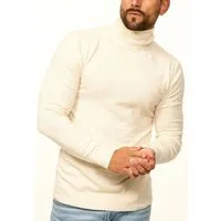 DAILY COTTON Rollkragenpullover als Feinstrick Pulli in Slim Fit für Herren Männer Winterpullover - Casual & Business Look Rolli