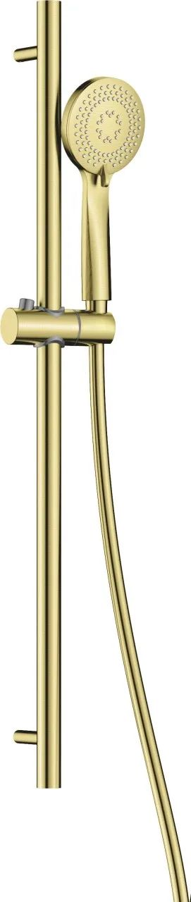 Neuesbad Serie 200 Duschset, 3-Funktionen, Gold Gebürstet NB1DENQAR51K1