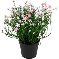 Kunstblume Blütenbusch Natural Look 24cm im Topf FT Kunstblumen künstliche Blume Sternblüte, Seidenblumen Roß, Höhe 24 cm, Sternblütenbusch rosa-hellrosa