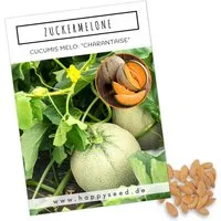 HappySeed Blumensamen Zuckermelone Samen - Cucurbita melo, Obst
