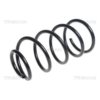 Triscan Feder vorne Ford C-Max Focus 875016112