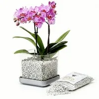 colomi Blumentopf ColomiCare Orchideentopf transparent + 1 L Orchideengranulat – Set (Spar-Set, 1x Orchideentopf 1x 1Liter Orchideengranulat)