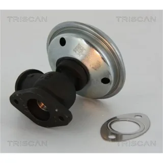 Triscan AGR-Ventil Citroen C5 Peugeot 406 607 2,2