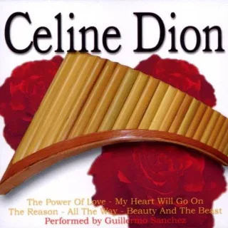 Panpipes PlayCeline Dion (Panflöte / Panflute)