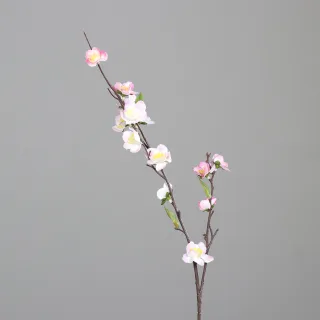 70 cm
