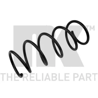 NK Feder vorne Renault Kangoo 533932