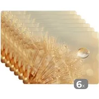 MuchoWow Platzset Löwenzahn - Wasser - Natur - Pflanzen - Modern, (6-St), Platzsets, Tischset, Abwaschbar, Tischsets, Platzdeckchen