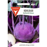 FRANKONIA Gemüsesamen Kohlrabi, Delikatess blauer - Kohlrabi-Samen Saatgut Samen, Brassica oleracea