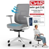 Ergotopia Bürostuhl PureBack ergonomischer Schreibtischstuhl