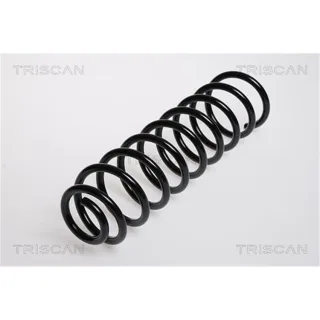 Triscan Feder hinten Seat Cordoba VW Polo 875029104