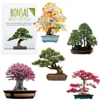 HappySeed Blumensamen Außergewöhnliche Bonsai Samen mit hoher Keimrate - 5er Set inkl. eBook, Bonsai