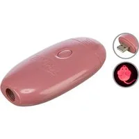 TRIXIE Tier-Intelligenzspielzeug LED Pointer Catch the Light, Maus, USB - diverse - 8,5 cm, Kunststoff