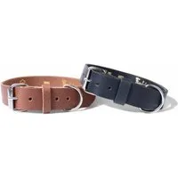 FRONHOFER Hunde-Halsband 18545, Ökoleder, Büffelleder, robust und langlebig